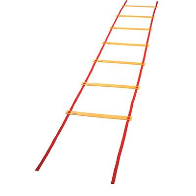Economy Agility Ladder